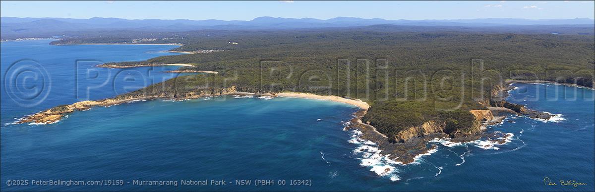 Peter Bellingham Photography Murramarang National Park - NSW (PBH4 00 16342)